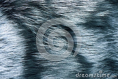 Nature fashion concept. Natural fur for texture or background Stock Photo