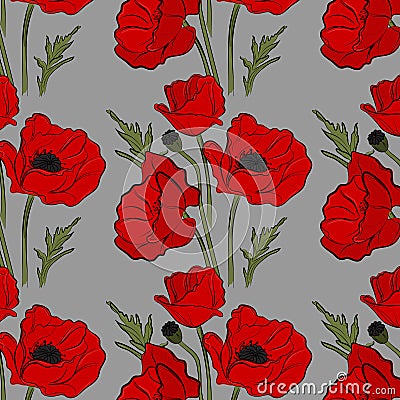 Nature floral poppy pattern vector image. Red petal nature plants isolated on blue background. Botany spring summer Vector Illustration