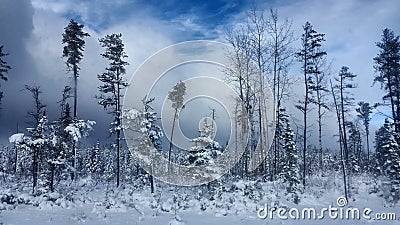 Winter Road Snow fir, Thunder Bay Canada Stock Photo