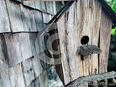Nature garden or park decorated with natural wood Stock Photo
