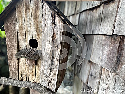 Nature garden or park decorated with natural wood Stock Photo