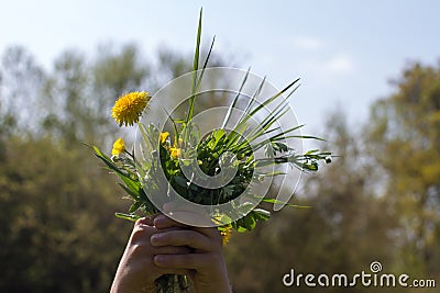 Nature generosity and local life - child hand offering green protection Stock Photo