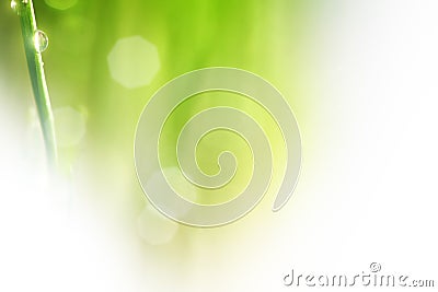 Nature green background Stock Photo