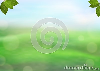 Nature green background with fresh leaves on a blurred background of grass and sky and bokeh effect. View with copy space add text Vector Illustration