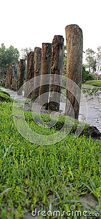 Nature, Green, cannel Stock Photo