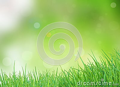 Nature green spring with sunlight bokeh background Stock Photo