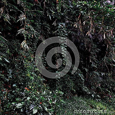 Nature green tree grass histori Stock Photo