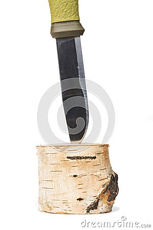 Nature harm and damage concept. Knife stuck in birch log isolated on white Stock Photo