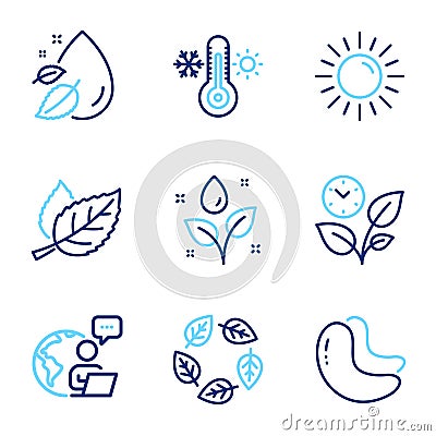 Nature icons set. Included icon as Cashew nut, Sun, Organic tested signs. Vector Vector Illustration