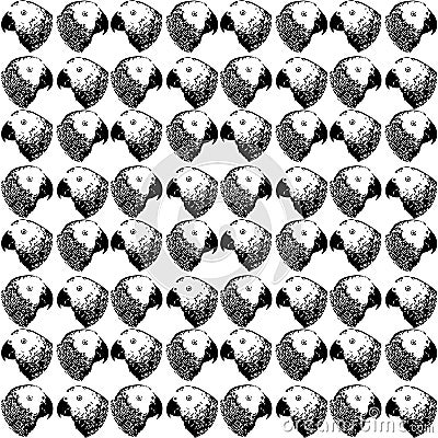 Nature illustration. Post card. Animals from the jungle. Parrot in the zoo. Black and white seamless pattern. Vector Illustration