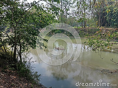 Nature image river Tree road Stock Photo