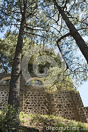 Nature on the island of gran canaria Stock Photo