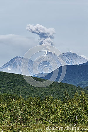 Nature of Kamchatka: eruption active Zhupanovsky Volcano Stock Photo