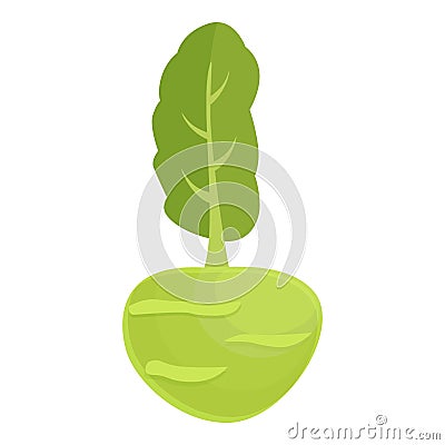 Nature kohlrabi icon cartoon vector. Healthy food Vector Illustration