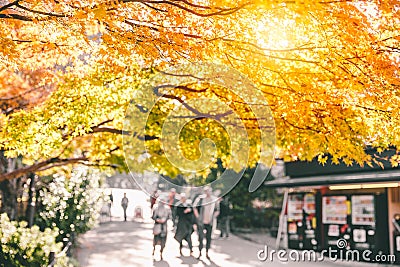 Nature kyoto park scene view autumn season Stock Photo