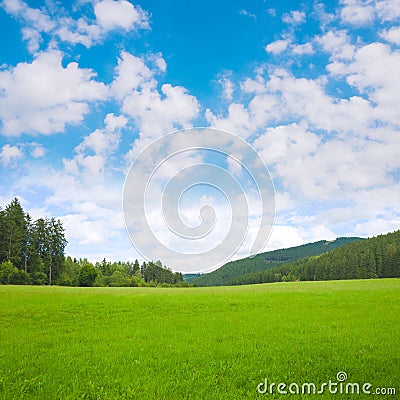 Nature landscape background with grass, meadow and blue sky Stock Photo