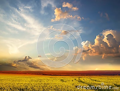 Nature landscape contryside green grass field trees and sun beam on cloudy fluffy blue and pink sky Stock Photo