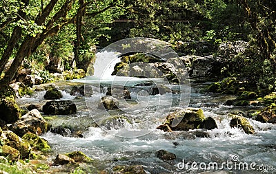 Nature landscape, Sunik water hurst, Slovenia Stock Photo