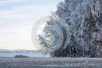 Nature landscape trees in frost, mountain view in winter Stock Photo