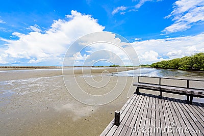 Nature learning path, made from wooden, and walk through Ceriops tagal forest Stock Photo