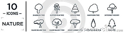 nature linear icon set. includes thin line shadbush tree, spruce tree, bitternut hickory tree, black walnut eastern cedar pine Vector Illustration