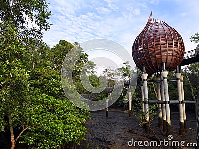 Nature, mangrove birdwatching hide Stock Photo