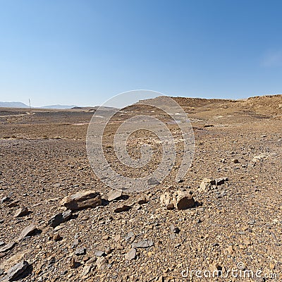 Nature of the Middle East. Stock Photo
