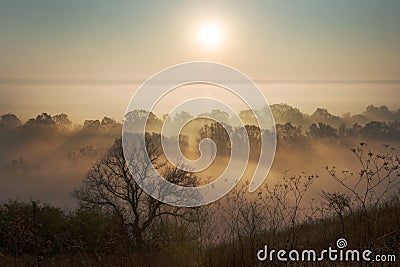 Nature, mist and sunlight Stock Photo