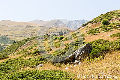 Nature near Big Almaty Lake, Tien Shan Mountains in Almaty, Kazakhstan,Asia Stock Photo