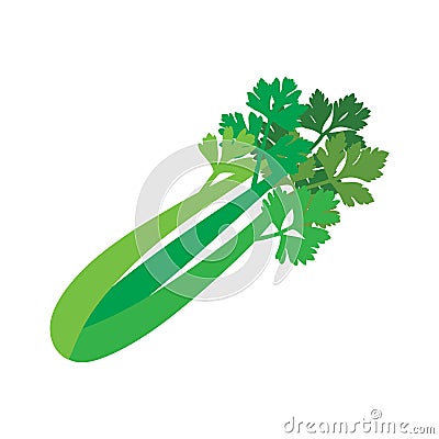 Nature organic Celery, healthy colorful food vegetable spice ingredient. Vector Illustration