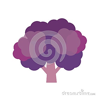 Nature organic vegetable Purple broccoli Vector Illustration