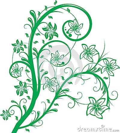 Nature ornament Vector Illustration