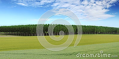 Nature panorama landscape, cultivated field, meadow and trees Stock Photo