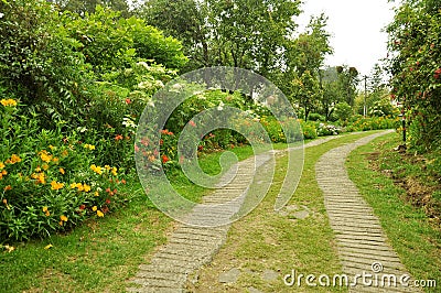 Nature path with garden Stock Photo