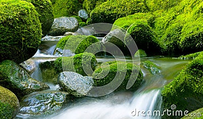 Nature Peaceful Green Cascading Waterfall Stock Photo