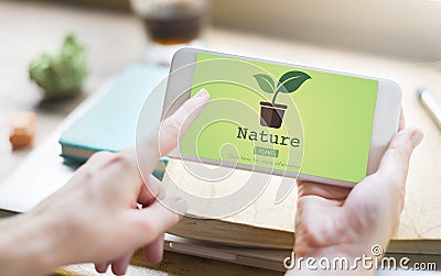 Nature Plant Ecology Environmental Conservation Concept Stock Photo