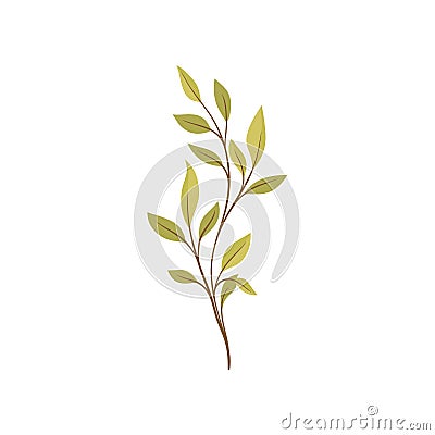 Nature and plants. Trees and shrubs. Flora concept. Vector Illustration