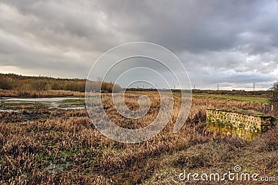 Nature Reserve, Fairburn Ings Stock Photo