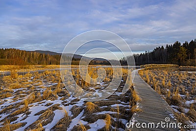 nature reserve Olsina, Sumava National Park, Czech Republic Stock Photo