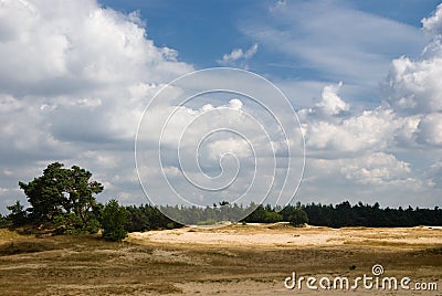 Nature Reserve with Sanddrift Stock Photo