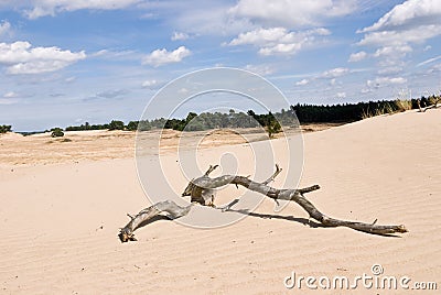 Nature Reserve with Sanddrift Stock Photo