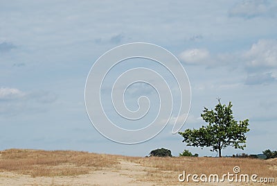Nature Reserve with Sanddrift Stock Photo