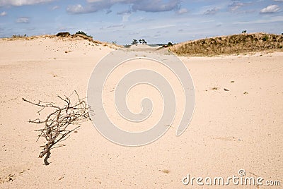 Nature Reserve with Sanddrift Stock Photo