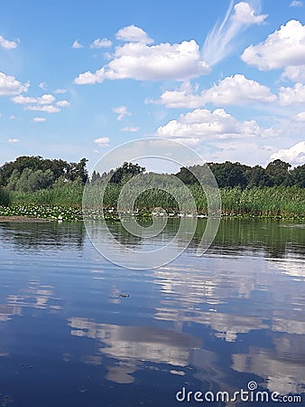 Special Nature Reserve Obedska Bara Serbia Stock Photo