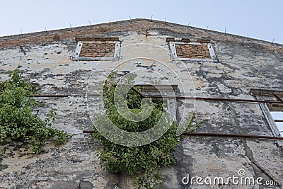 Nature retakes an abandoned ruined building Stock Photo