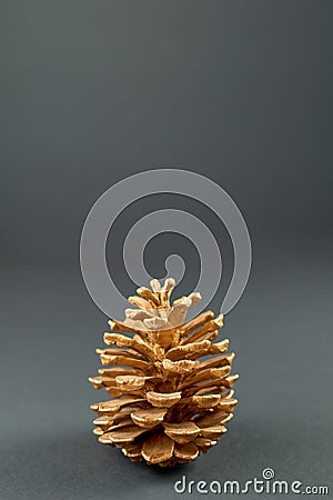 Nature's Elegance: Gilded Pinecone Shining on Muted Gray Canvas Stock Photo