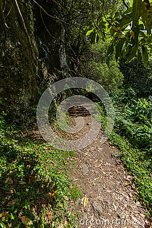 Nature Salto Do Prego trailhead at Faial Da Terra, Sao Miguel, Azores Stock Photo