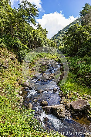 Nature Salto Do Prego trailhead at Faial Da Terra, Sao Miguel, Azores Stock Photo