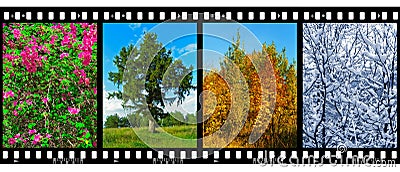 Nature seasons in film frames (my photos) Stock Photo