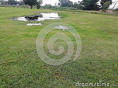 Nature sensational green Stock Photo